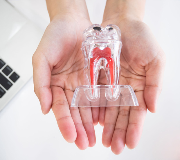 Sherman Regenerative Endodontic Treatment